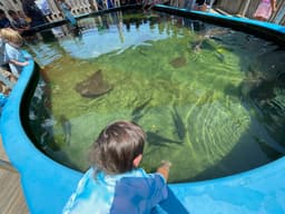 Alabama Aquarium at the Dauphin Island Sea Lab
