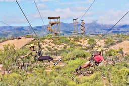 Predator Zip Lines
