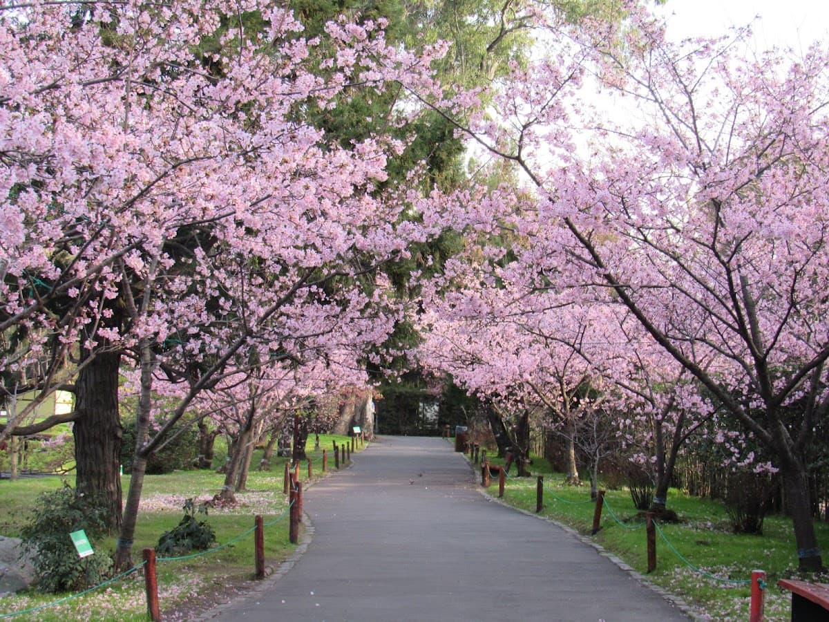 Jardin Japones, photo 1 of 2