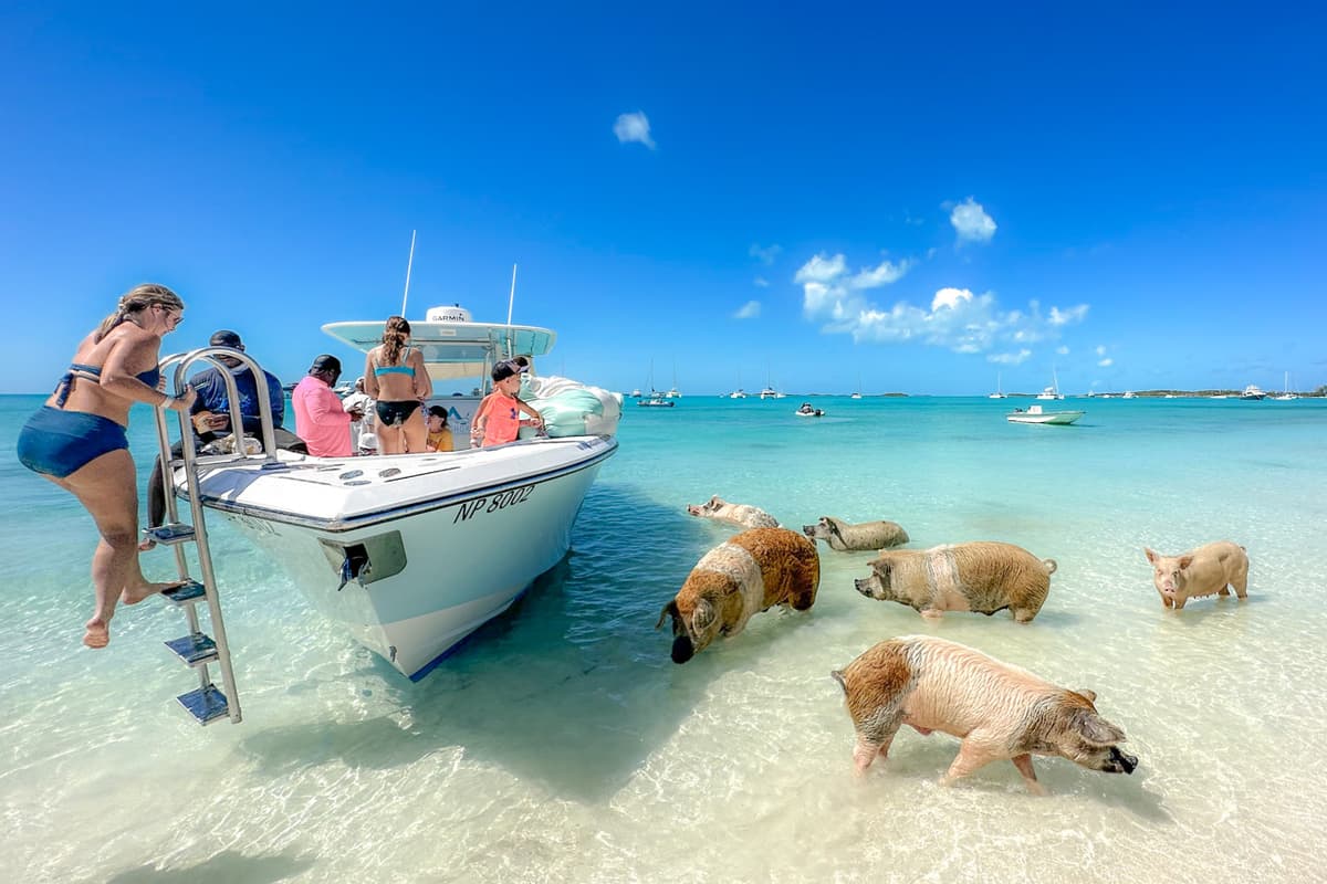 Rose Island Boat Tour & Swimming Pigs