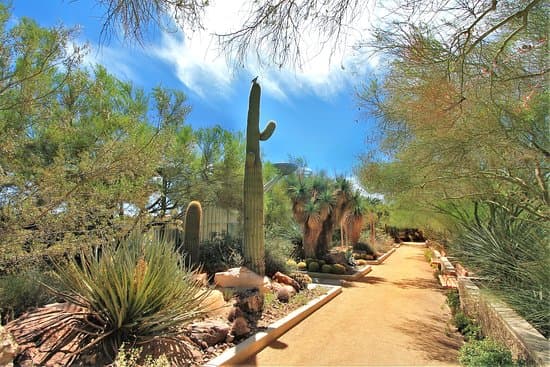 Botanical Garden at the Springs Preserve — photo 1 of 2