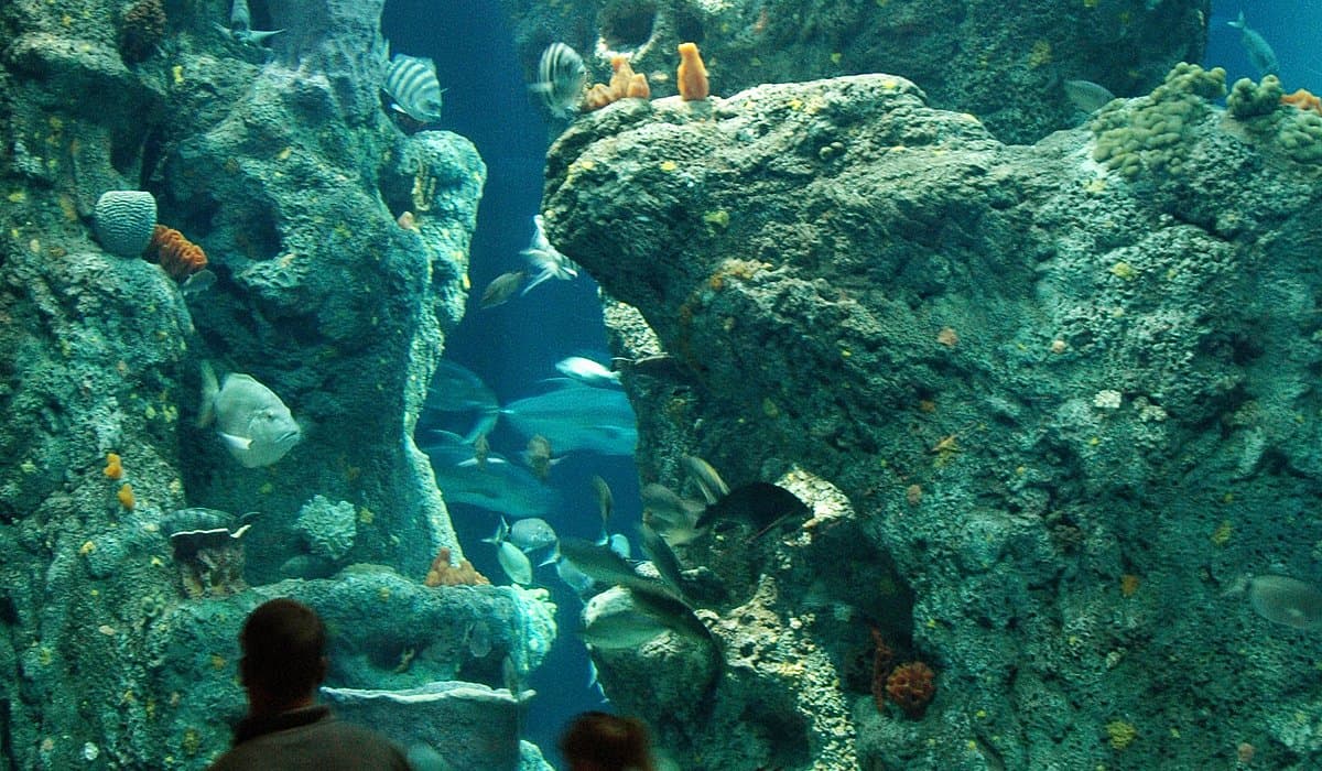 South Carolina Aquarium