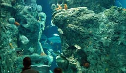 South Carolina Aquarium