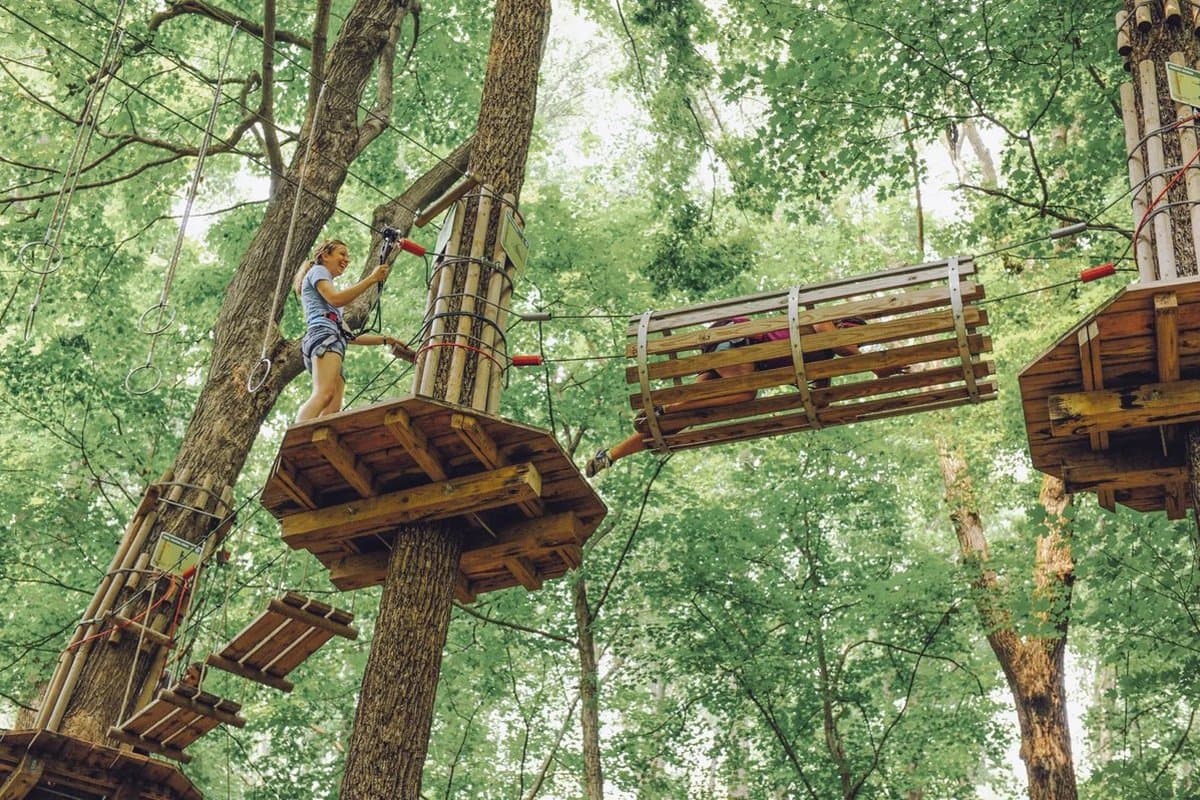 Go Ape Zipline and Adventure Park — photo 1 of 6