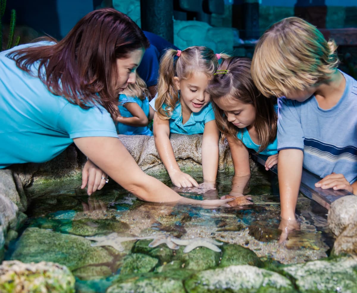 San Antonio Rainy Day Family Guide