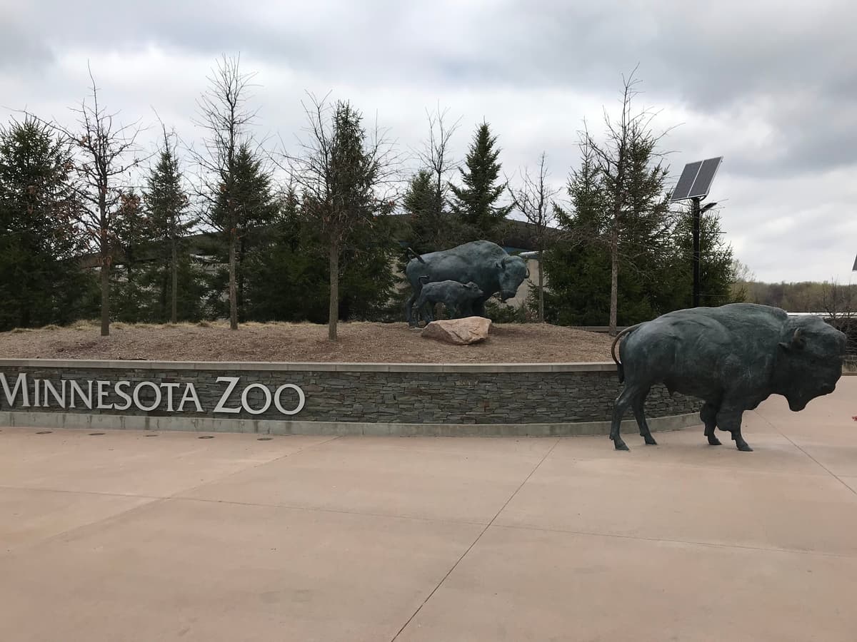 Minnesota Zoo