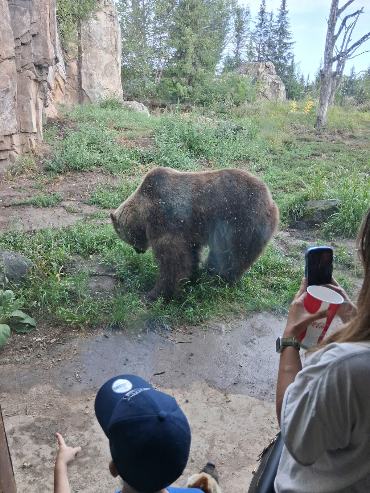 Minnesota Zoo