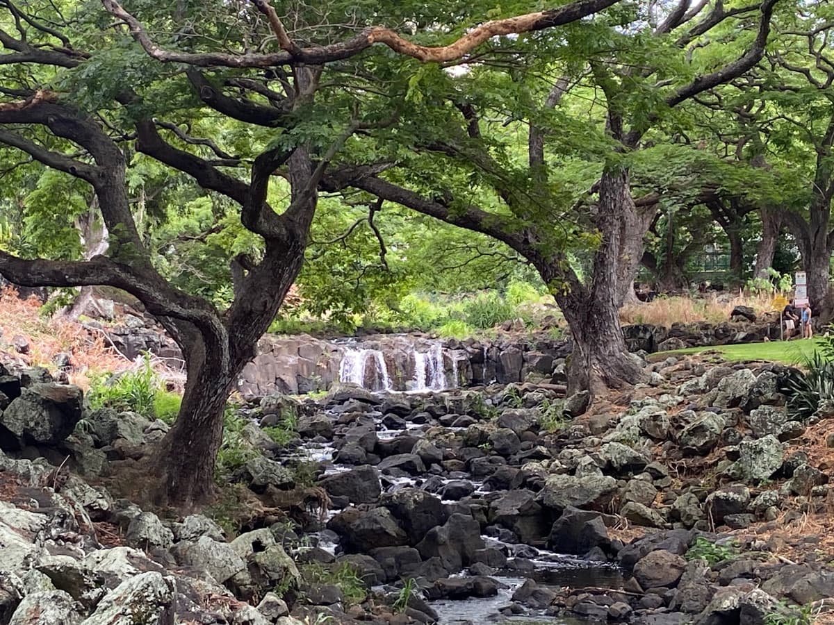 Liliuokalani Botanical Garden