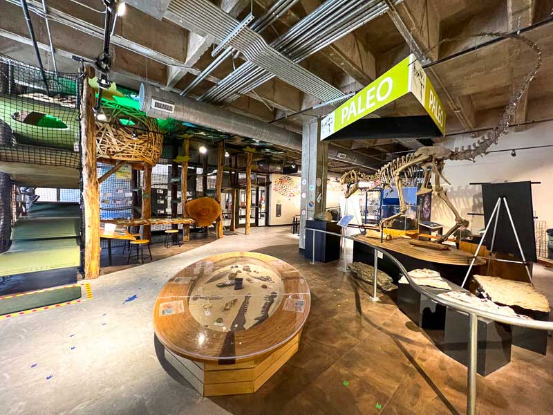 Asheville Museum of Science - Additional Programming