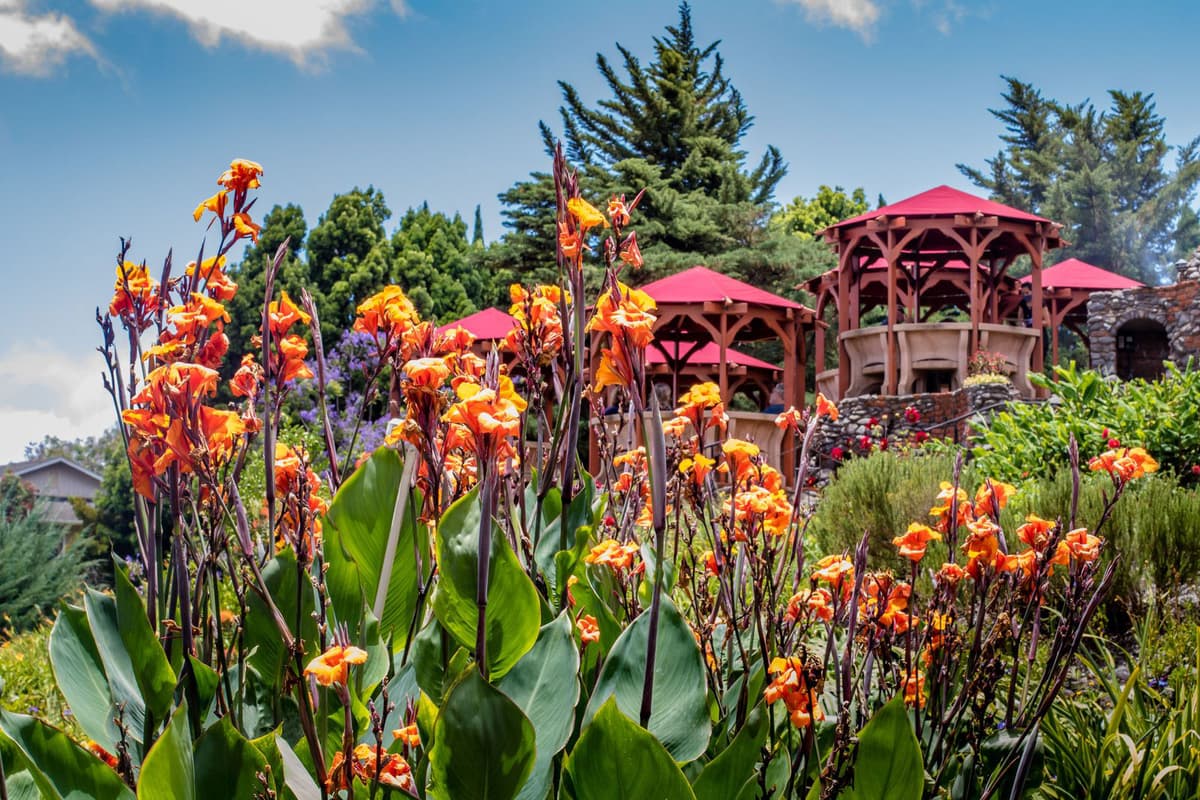 Kula Botanical Garden