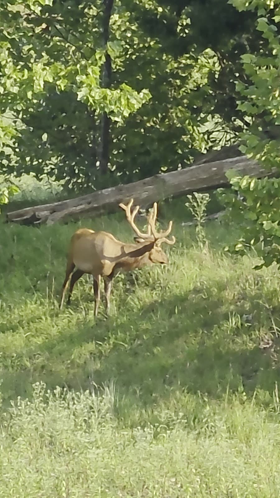 Lone Elk Park