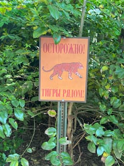 Tiger Mountain at Bronx Zoo