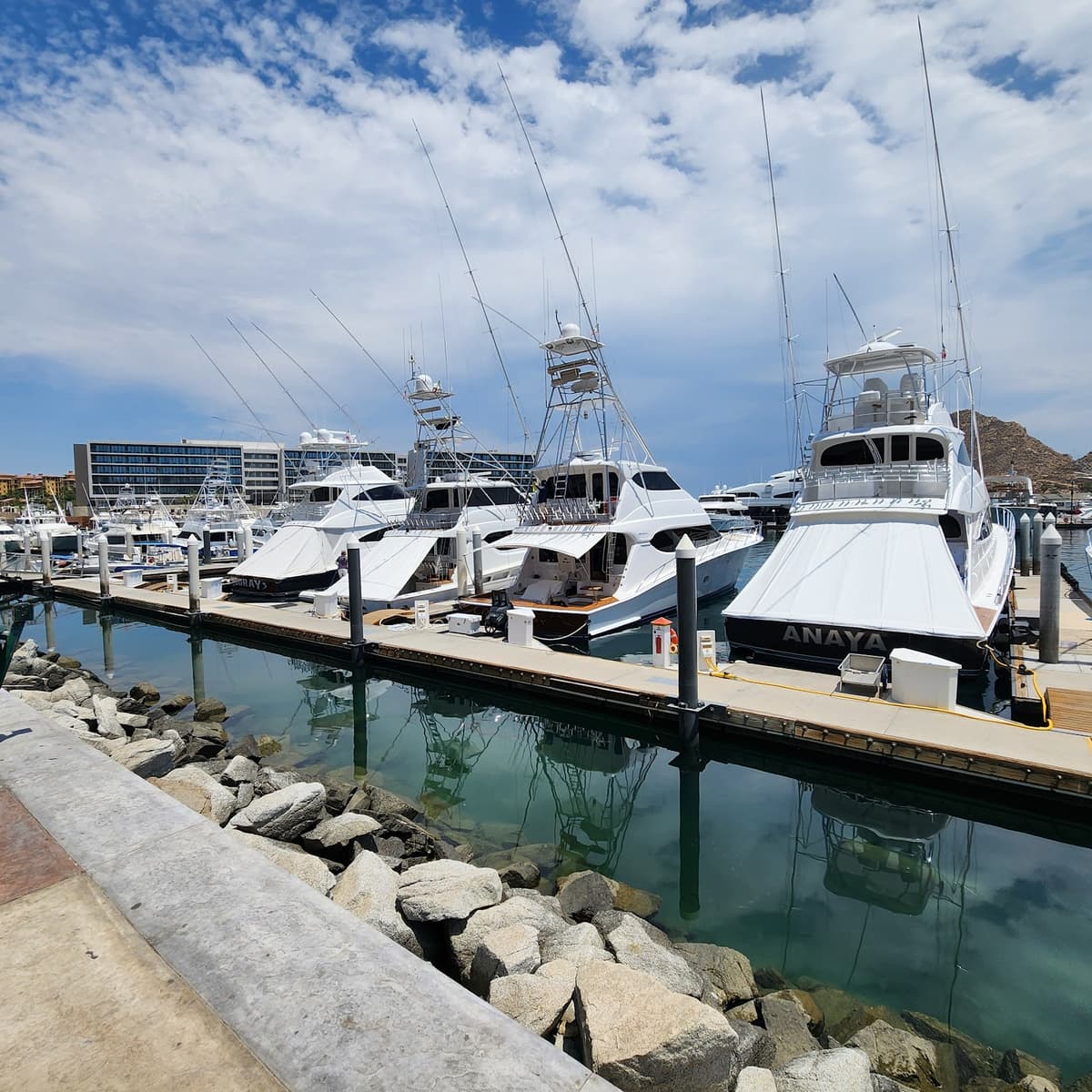 Cabo San Lucas Marina
