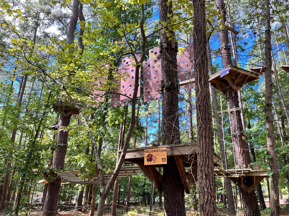 TreeRunner Adventure Park Raleigh
