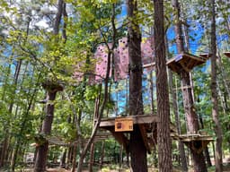 TreeRunner Adventure Park Raleigh