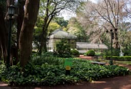 Jardin Botanico Carlos Thays