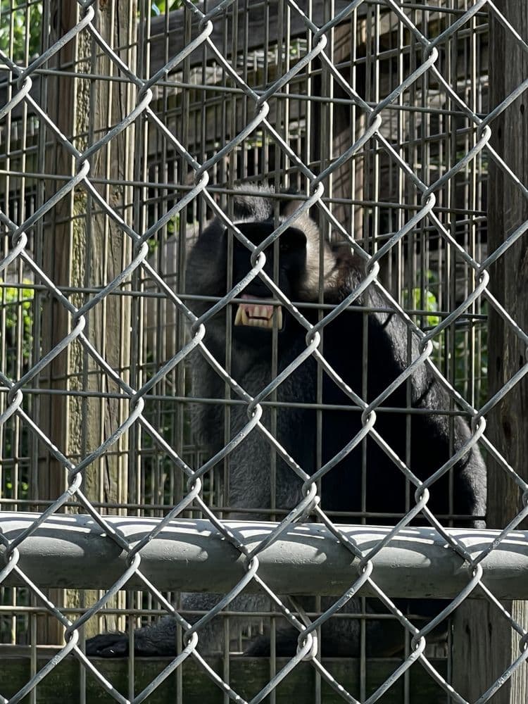 TGR Exotics Wildlife Park — photo 1 of 6