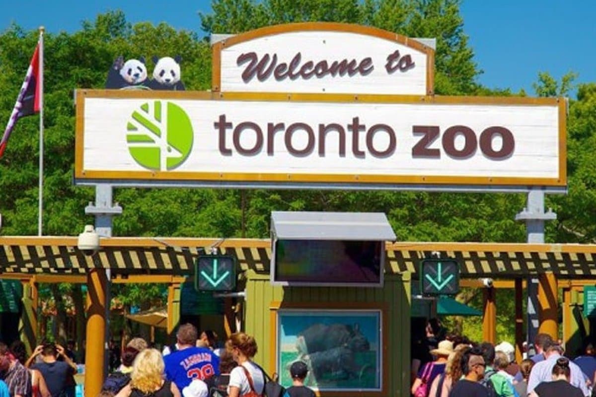 Toronto Zoo