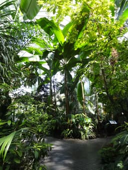 Jardin des Plantes Greenhouses