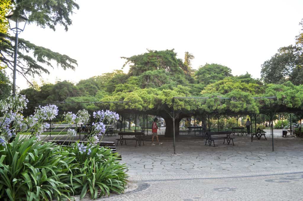 Principe Real Garden, photo 1 of 2