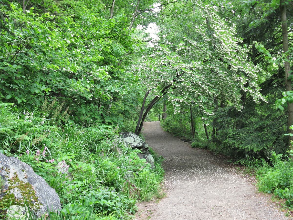 Asheville Botanical Garden