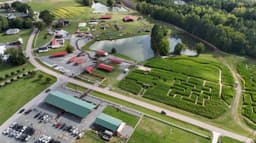 Phillips Farms of Cary