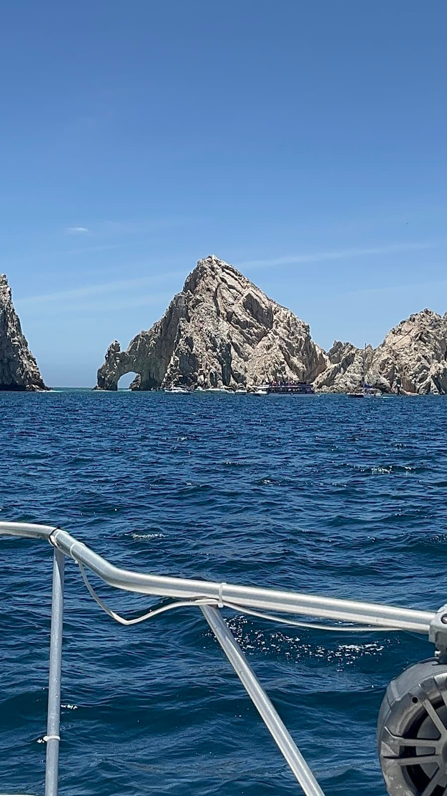 Cabo Ocean Life
