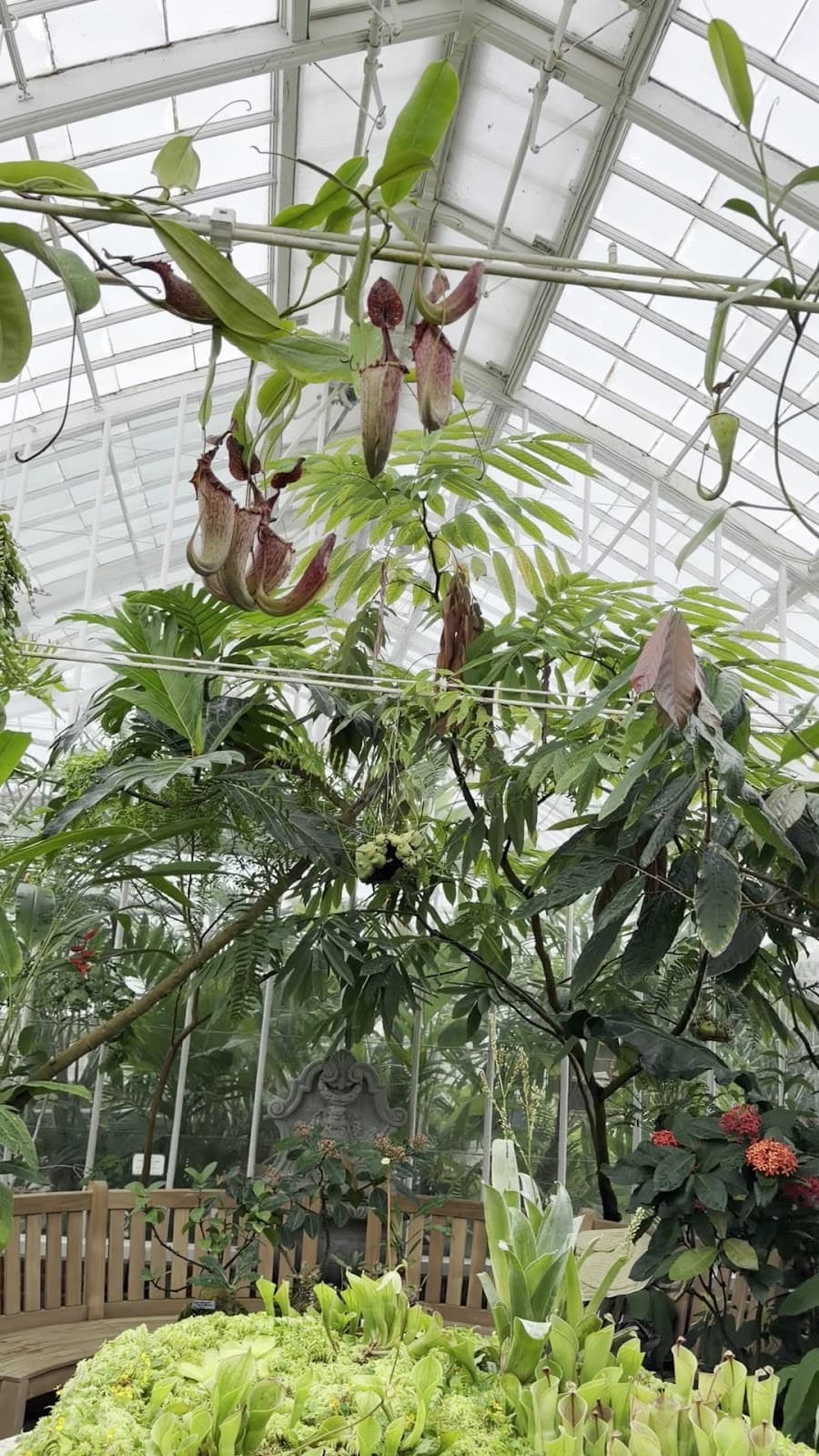 Conservatory of Flowers