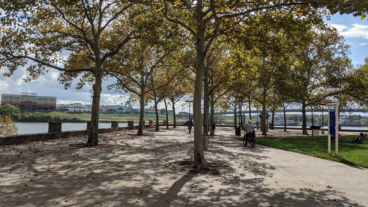 Sawyer Point and Yeatman's Cove