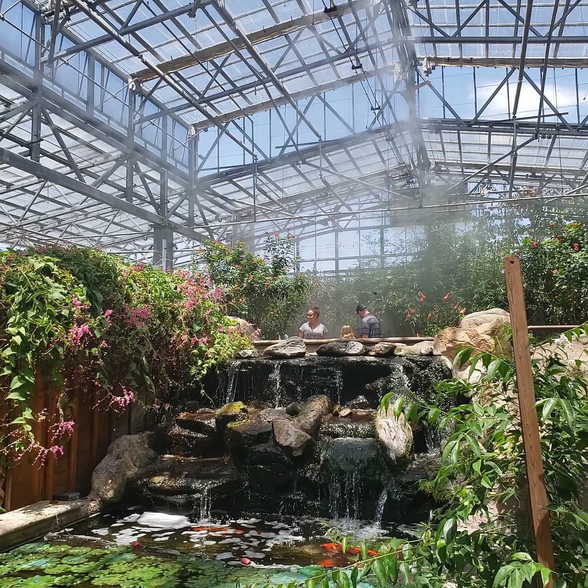 Butterfly Wonderland