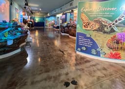 Gray's Reef Ocean Discovery Center