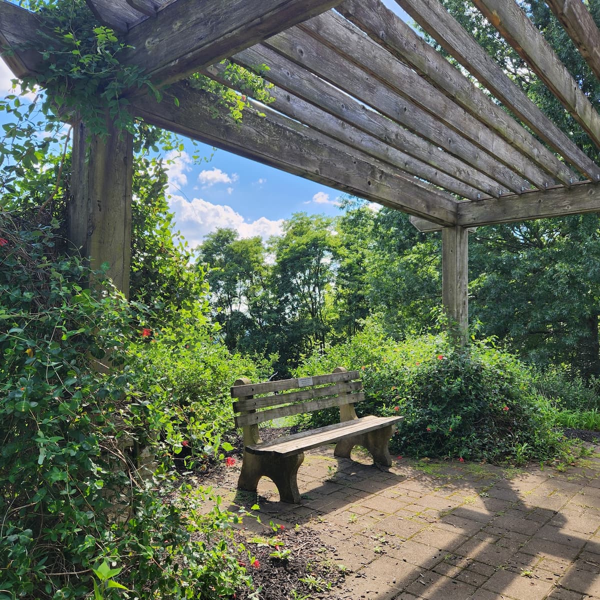 Woodland Mound
