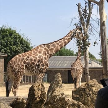 Hanwell Zoo, photo 1 of 2