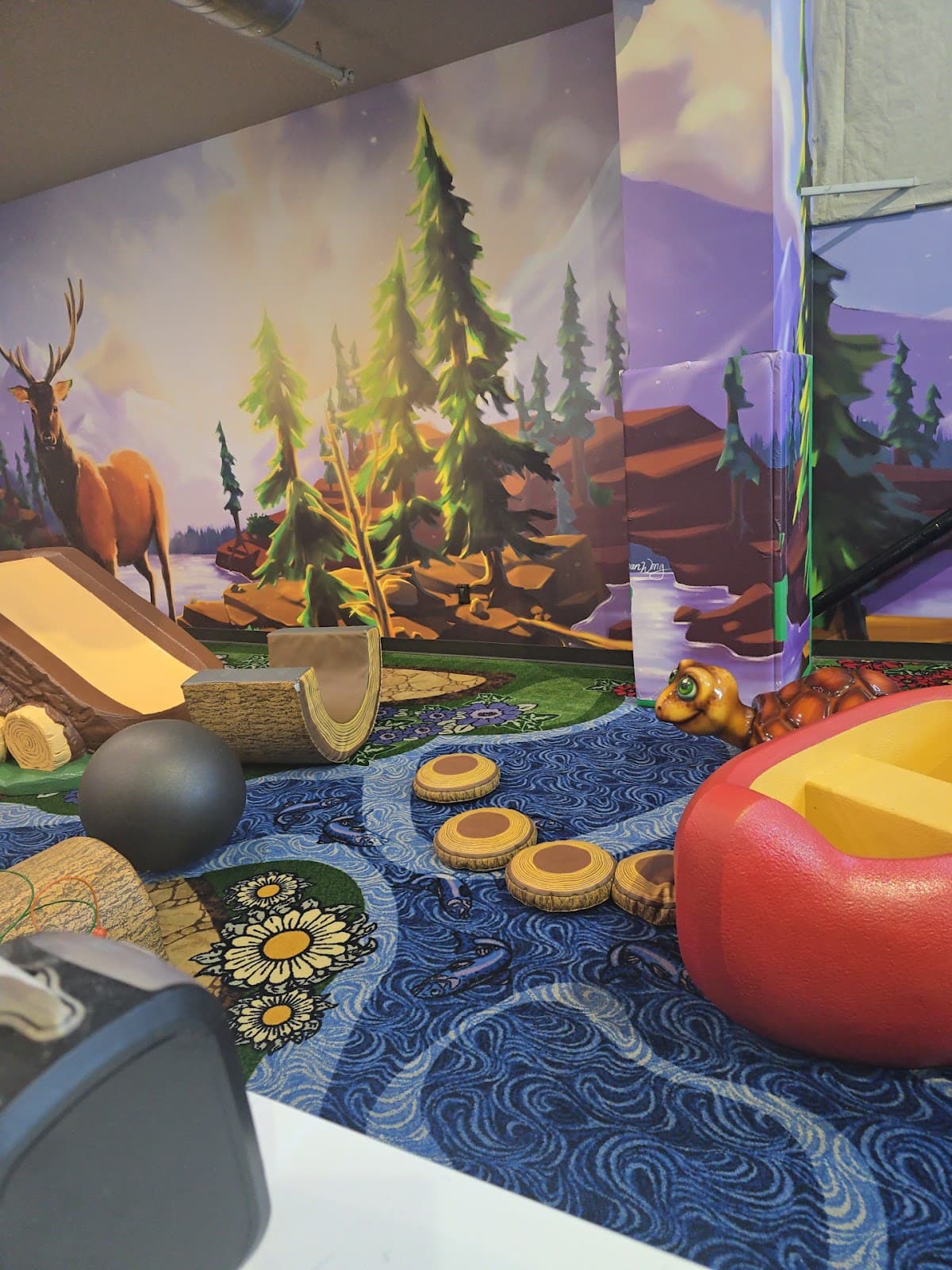 The Ridge Activity Center