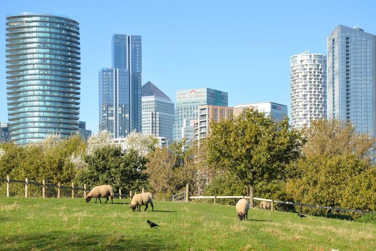 Mudchute Park and Farm