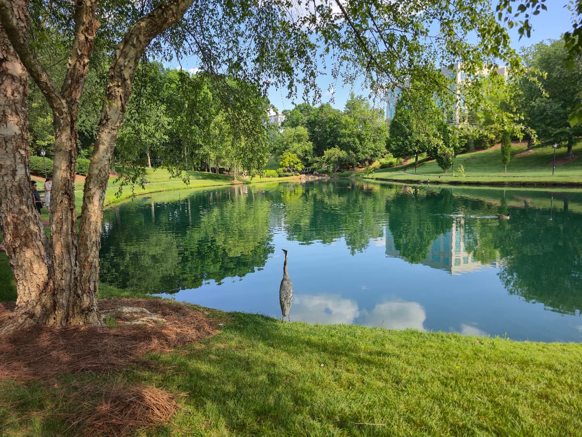 Stream Park