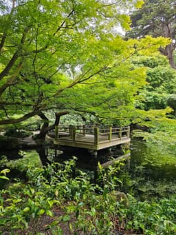 Moon Viewing Garden