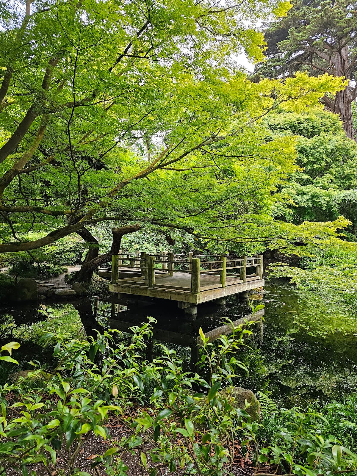 Moon Viewing Garden, photo 1 of 1