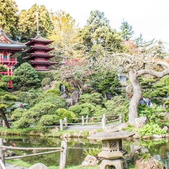 Moon Viewing Garden