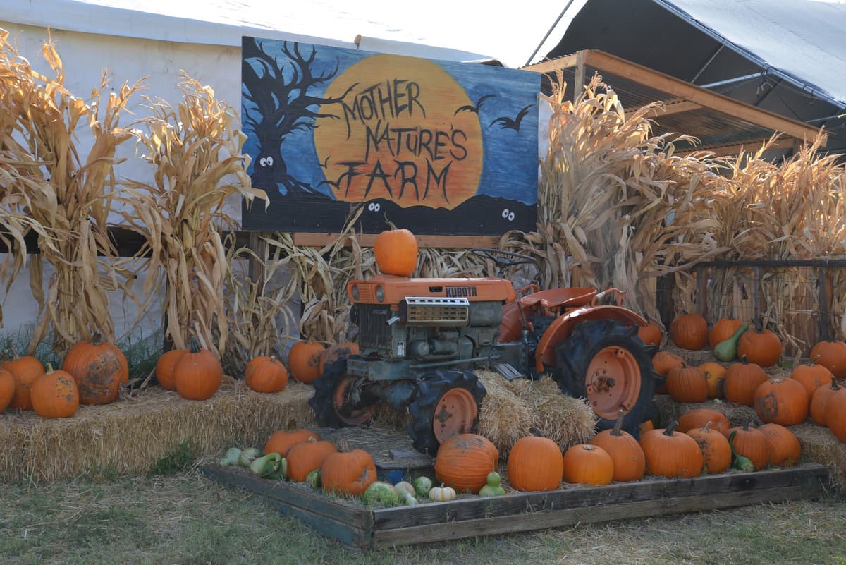Mother Nature's Farm, photo 1 of 1
