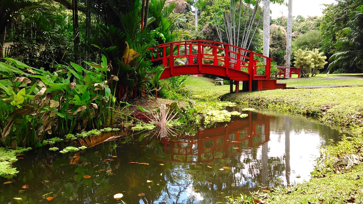 Jardin Botanico de la UPR