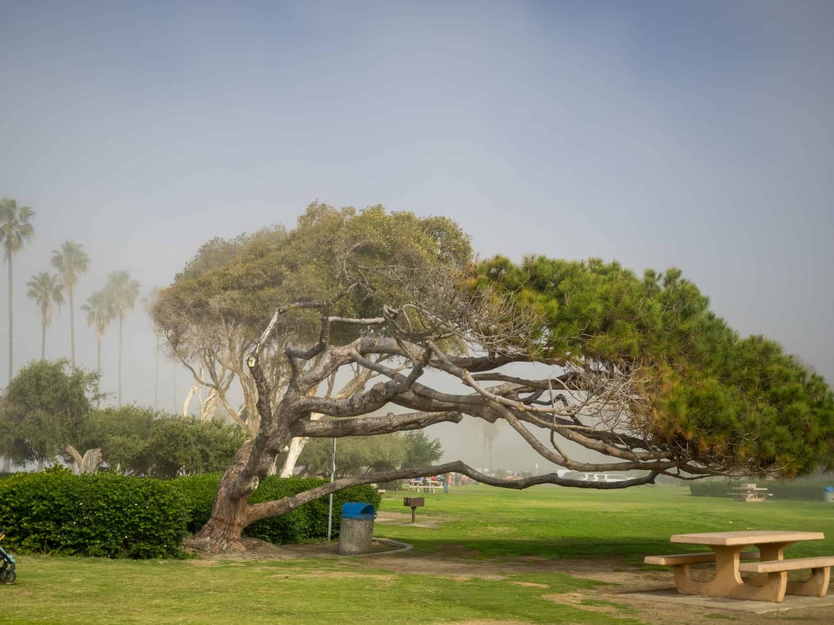 Kellogg Park, photo 1 of 6