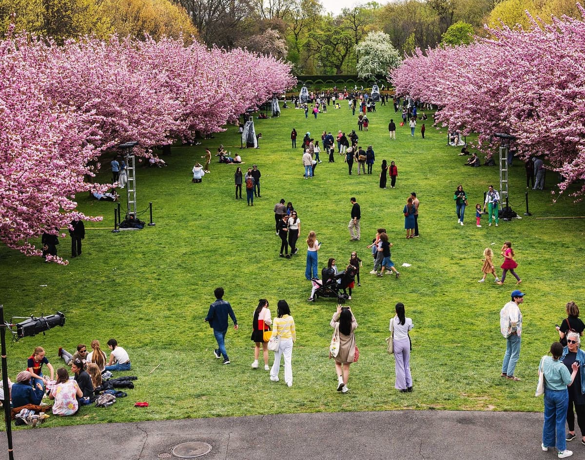 Queens Botanical Garden — photo 1 of 6