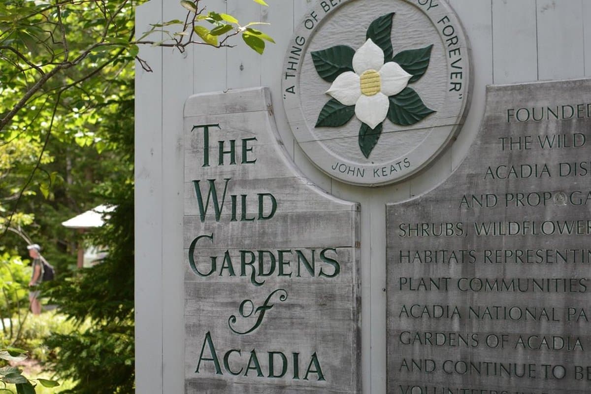Wild Gardens of Acadia