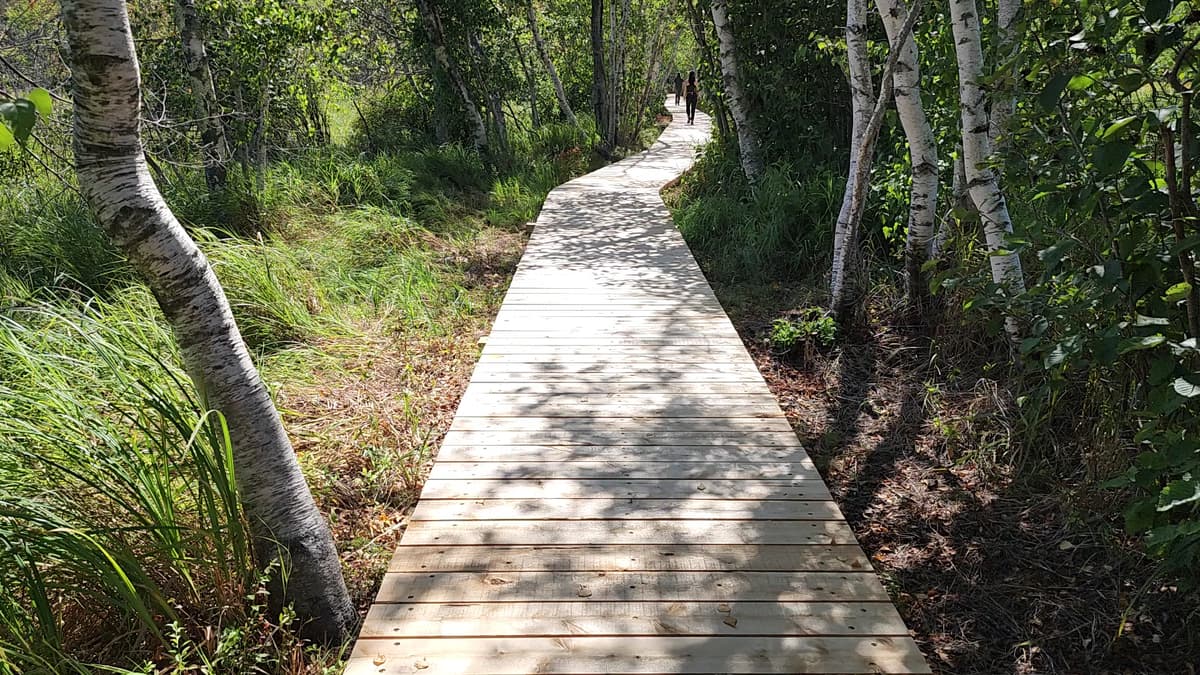 Wild Gardens of Acadia