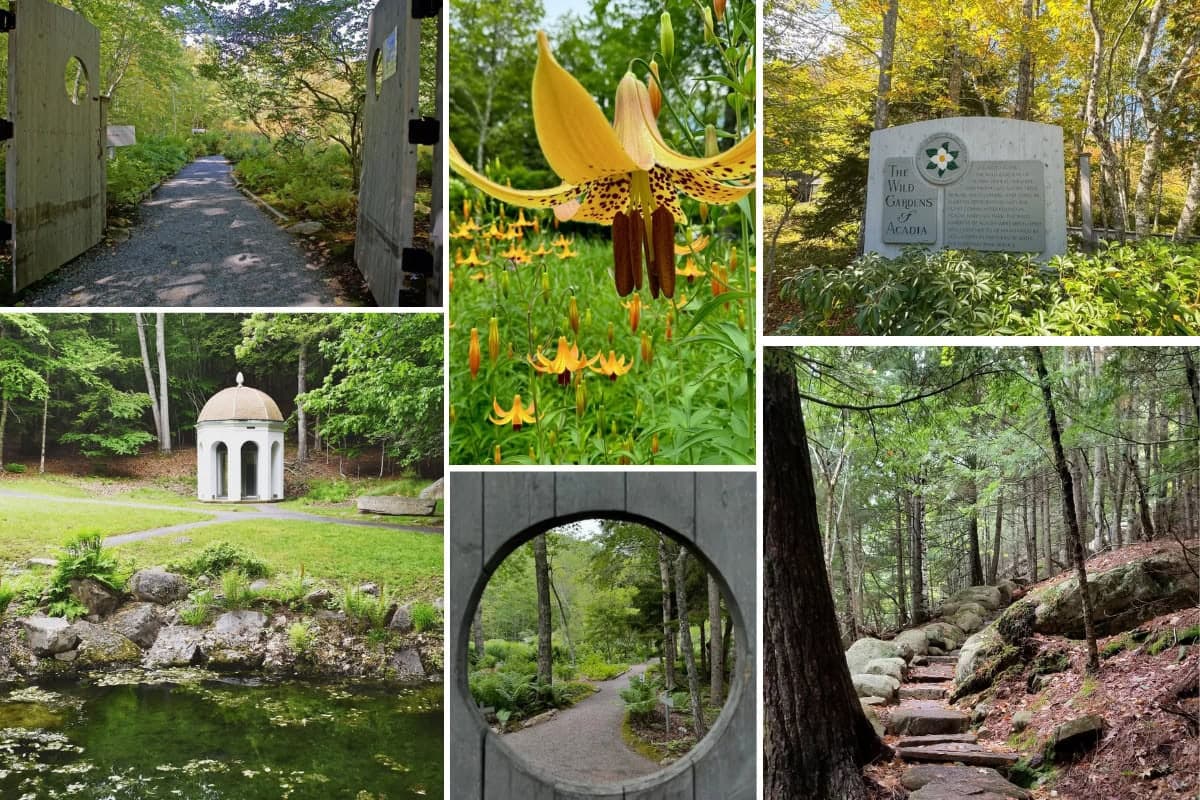Wild Gardens of Acadia