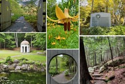 Wild Gardens of Acadia