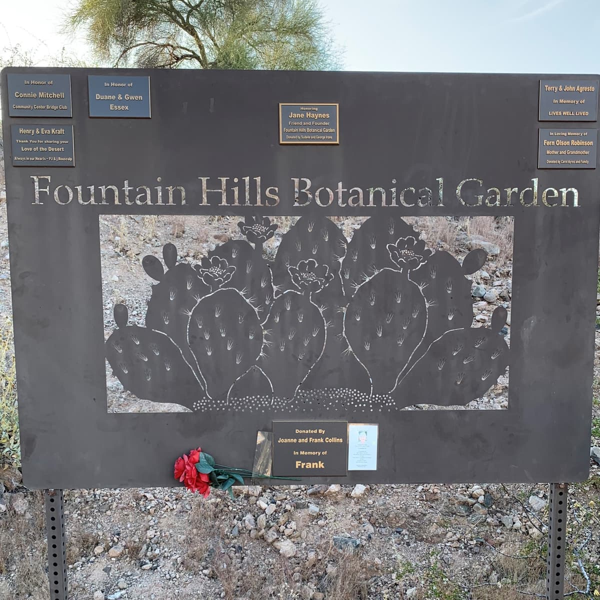 Fountain Hills Desert Botanical Garden