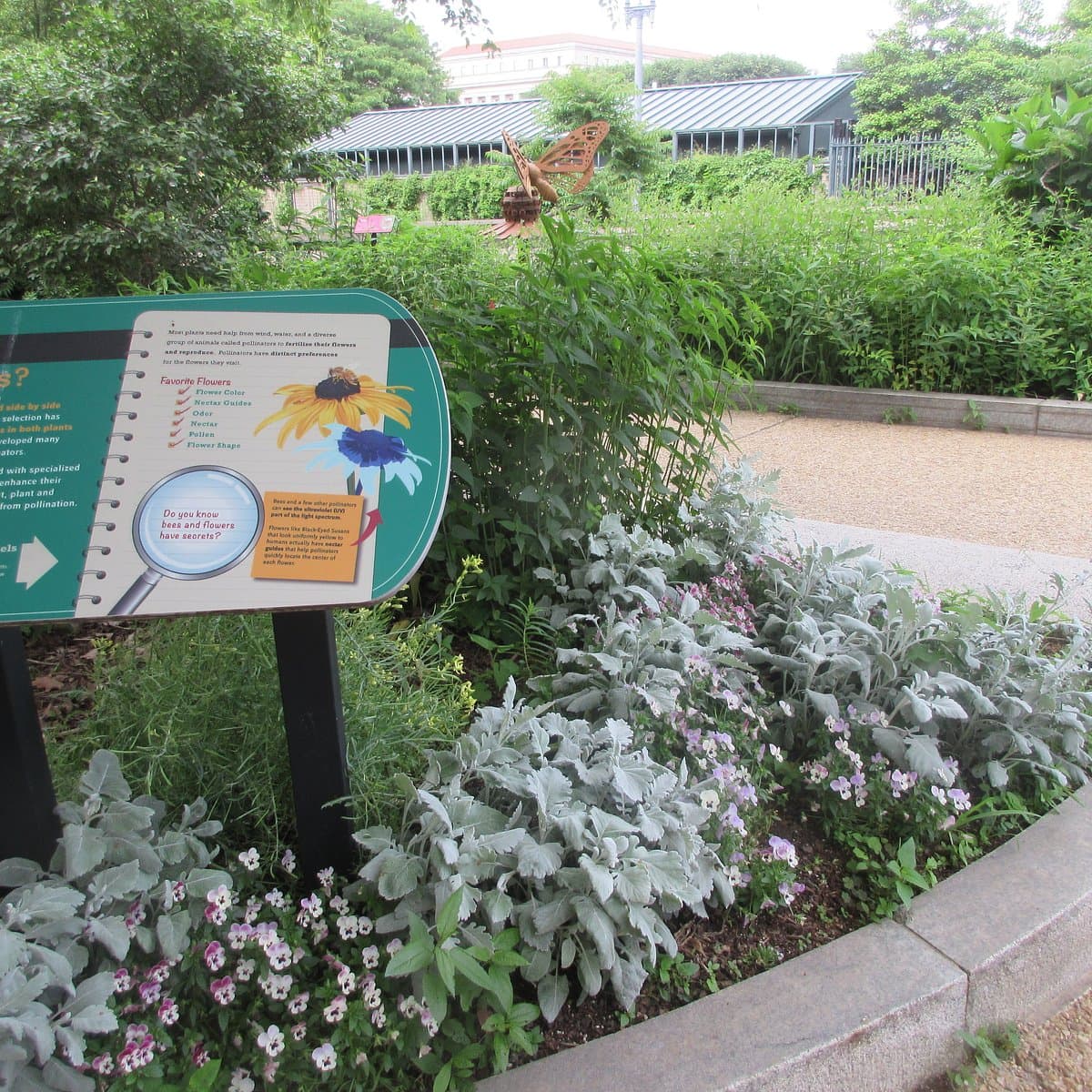 Smithsonian Pollinator Garden — photo 1 of 6