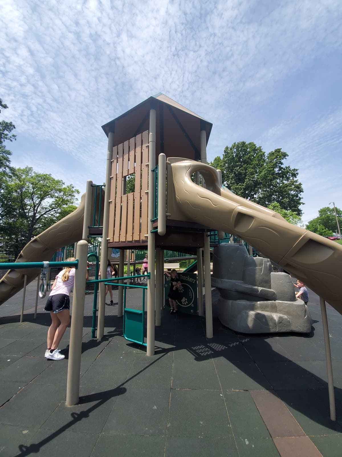 Shaw Park Treetop Playground